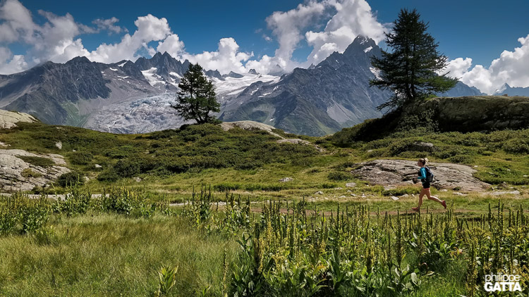 Trail from Lac Blanc (© P. Gatta)