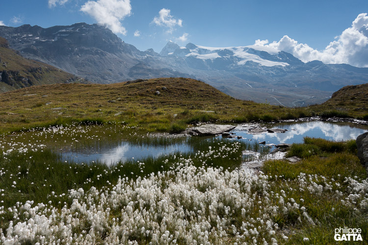 Alps Cors - Cervinia (© A. Gatta)
