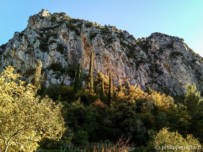 The nice cliff of Gorbio (© P. Gatta)