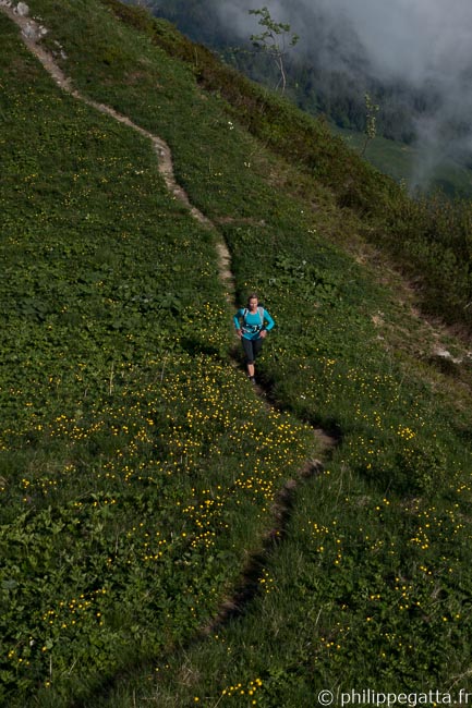 Trail: Bellevue - Nid d'Aigle Anna going to Col du Mont Lachat (© P. Gatta)