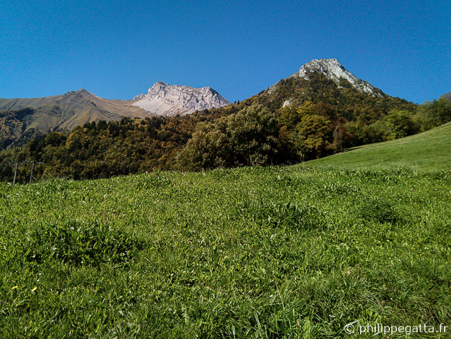 Pasture above l'Ermite and La Tournette behind (© P. Gatta)