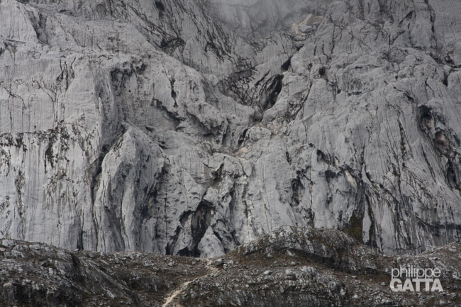 Bottom of Carstensz's Face, the route is in the center (© P. Gatta)
