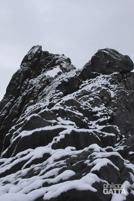 Carstensz's summit ridge (© P. Gatta)