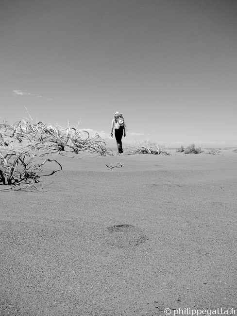Anna in the dunes (© P. Gatta)