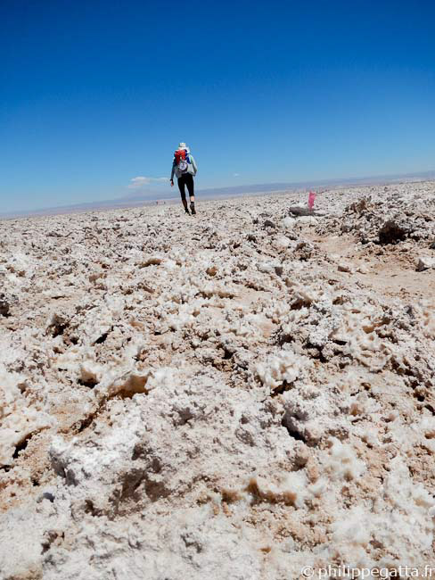 In the Atacama salt flat (© P. Gatta)