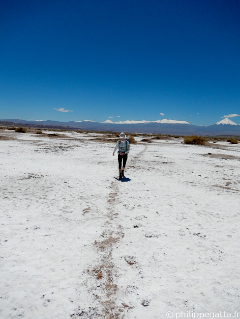 Anna in the Atacama salt flat, the Andes behind (© P. Gatta)