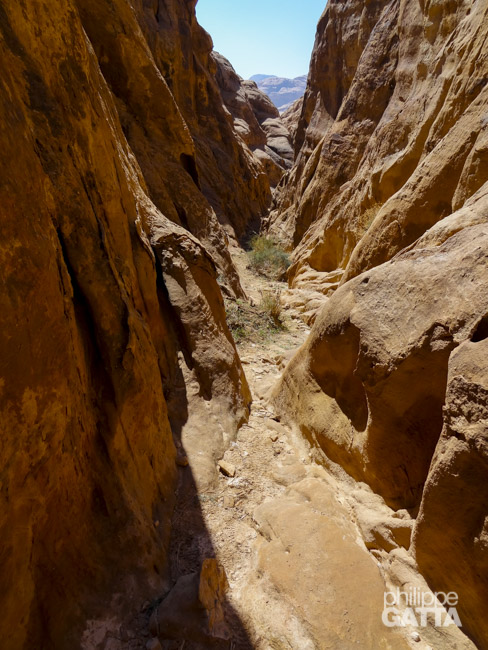 Narrow canyons (© P. Gatta)