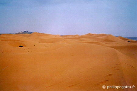 Dunes (© P. Gatta)