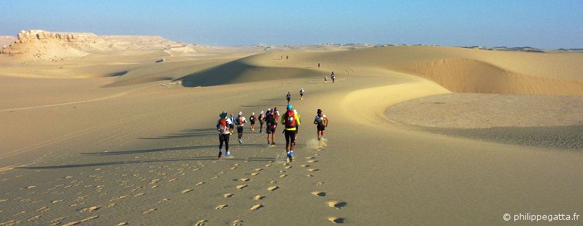 Sahara Race: 250 km running race in Egypt (© P. Gatta)