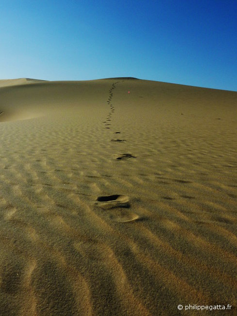 Dunes (© P. Gatta)