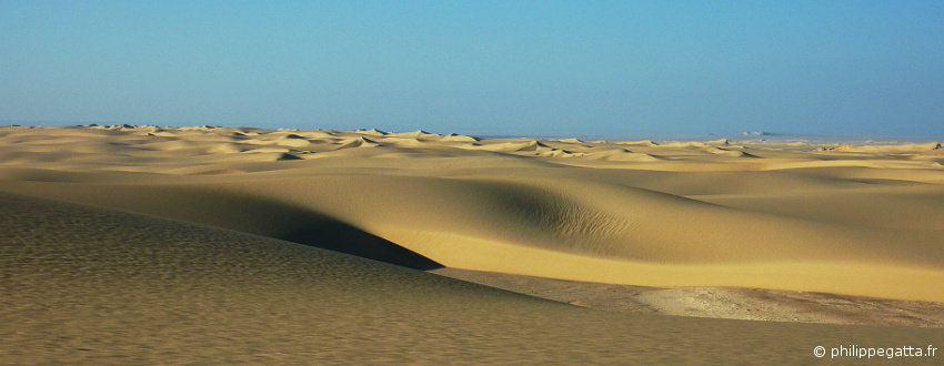 Finish line of the 21st Sahara Race (© P. Gatta)