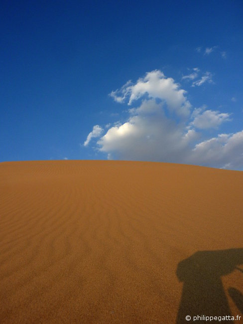 Sahara race: amazing dunes (© P. Gatta)