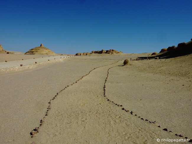 Sahara race: the valley of Whales (© P. Gatta)
