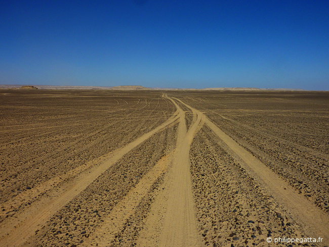 Sahara race: big dunes after check point 3 (© P. Gatta)