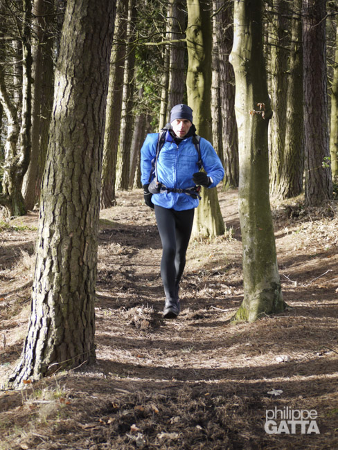 Spine: forest after Torside reservoir (© Mike Clark)