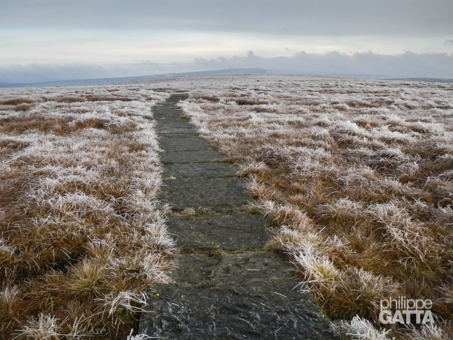 Spine: the slabs (© P. Gatta)