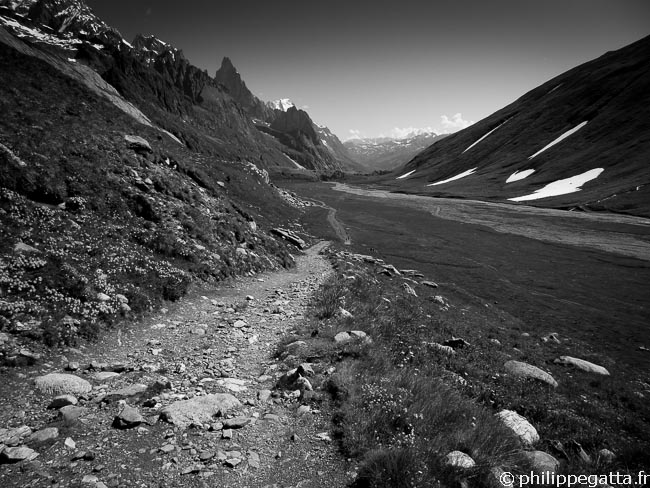 TMB: trail along the Val Veni (© P. Gatta)